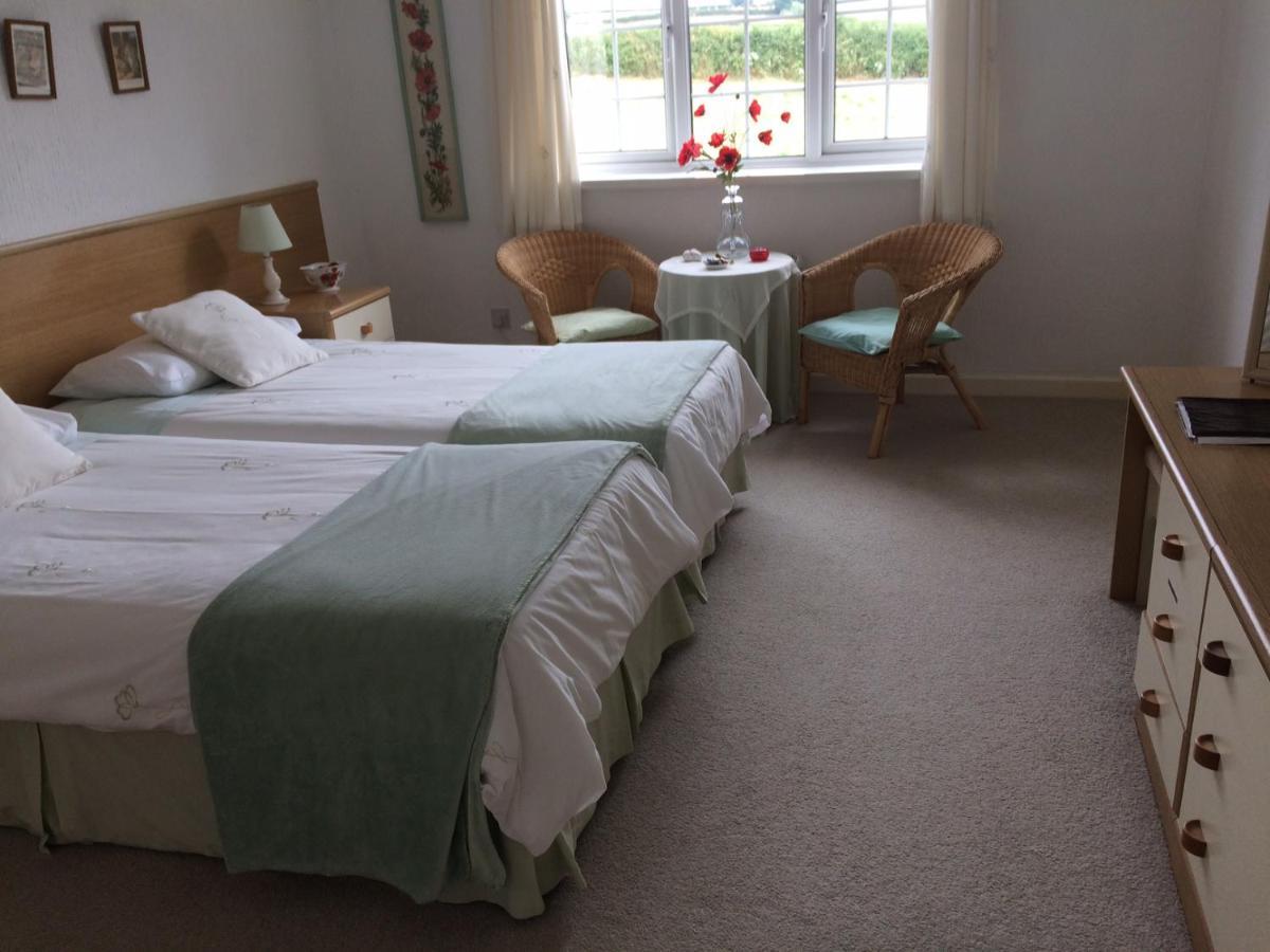 The Grange Accommodation, Waye Farm, Ermington, Devon Holbeton Exteriör bild