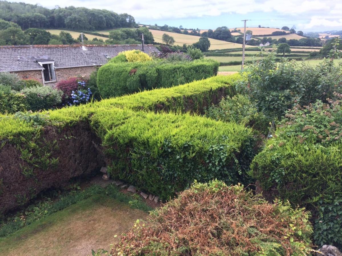 The Grange Accommodation, Waye Farm, Ermington, Devon Holbeton Exteriör bild